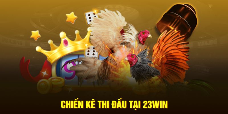 Giới thiệu tổng quan các thông tin trực tiếp tại 23Win