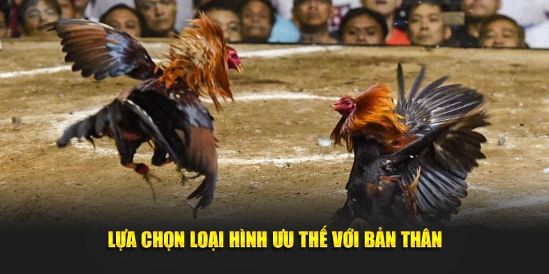 Lựa chọn loại hình cược dễ tiếp cận và hiệu quả nhất với bạn