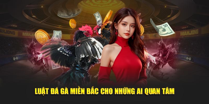 Luật đá gà miền Bắc cho những ai quan tâm