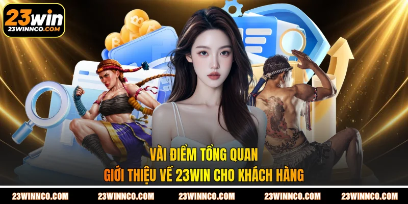 Vài điểm tổng quan giới thiệu về 23WIN cho khách hàng